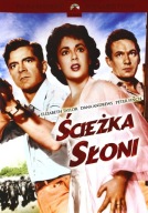 ŚCIEŻKA SŁONI 1954 ELIZABETH TAYLOR PETER FINCH WYD.PEŁNE KLASYCZNY DVD-BOX