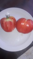 Pomidor Pobieditel malinowe serce niskie rosyjskie nasiona kolekcjonerskie