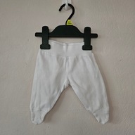 Półśpiochy, rozmiar 50