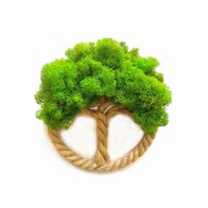 Drzewko Szczęścia Chrobotek, żywy obraz handmade, dekoracja na ścianę