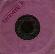 LADY PANK - RAPORT Z N. - RYSUNKOWA POSTAĆ