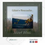 Gdzieś w Bieszczadzie (płyta cd)