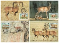 01-MC-GK72- Afganistan, WWF, 1998-Muflony