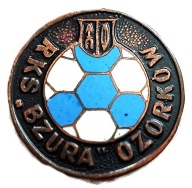 Bzura Ozorków zwykła