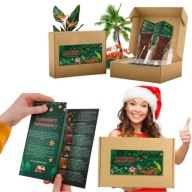 KALENDARZ ADWENTOWY EGZOTYCZNY ZESTAW 24 ROŚLIN DO UPRAWY PREZENT NA ŚWIĘTA