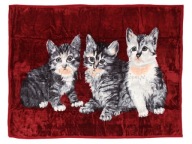 Koc Elway akryl 160x210 koty na bordo