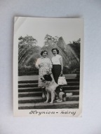 KRYNICA-ZDRÓJ LETNICY PIES stare FOTO