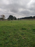 Działka, Tychy, 3170 m²