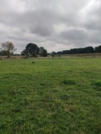 Działka, Tychy, Paprocany, 3170 m²