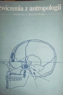 Ćwiczenia stymulujących funkcje językowe i inne procesy poznawcze