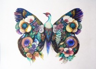 Obraz akwarela Feniks