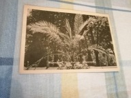 Stalinogród - Katowice WPKiW