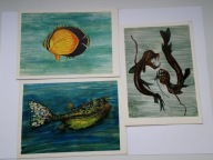 RYBY- proj. Marian Stachurski - kompletny zestaw 9 pocztówek
