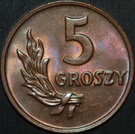 5 groszy 1949 B - menniczy egzemplarz