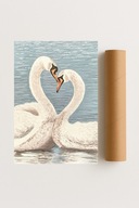 Plakat bez ram 21x30cm Biała miłość na wodzie Łabędzie Jezioro Natura Hit