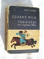 CZARNY WILK TENGGERI SYN CZARNEGO WILKA- DAVID