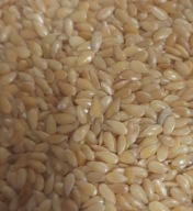 Len łuskany dla mrówek 5 ml