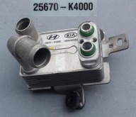 CHŁODNICZKA PŁYNU HYUNDAI KONA ELEKTRYK 25670-K4000