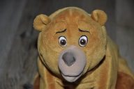 pluszak maskotka niedźwiedź mój brat niedźwiedź