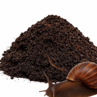 NATURALNE PODŁOŻE DLA ŚLIMAKÓW 5L BIOAKTYWNA ZIEMIA DO TERRARIUM