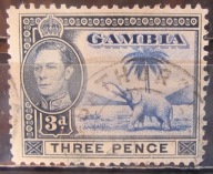 Gambia kolonia brytyjska stary znaczek (2/23