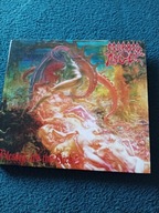MORBID ANGEL-BLESSED ARE THE SICK- DIGI