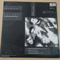 CURIOSITY KILLED THE CAT ORDINARY DAY -X3309