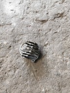 Volkswagen Polo moduł lampy L491984 prawy jeż