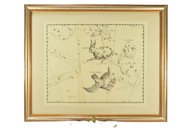 STARA GRAFIKA KONSTELACJE GWIAZDY GOŁĄB ZAJĄC i INNE OPRAWA ZOBACZ!