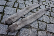 NORKI SZAL FUTRO KOŁNIERZ NORKA UNIKAT VINTAGE lata 40-te ETOLA ANTYK IDEAŁ