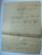 Akt ślubu Żyda Estera i Izrael Goldman Międzyrzec Podlaski judaik 1911