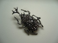 BROSZKA ŻUK CHRABĄSZCZ OWAD KRYSZTAŁKI