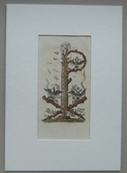 ROZBIORY POLSKI, Miedzioryt kol., 1797, SIRISA, SADEBECK