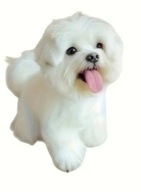 MALTAŃCZYK BRELOK ZAWIESZKA DO KLUCZY PLECAKA HAZIHAZI