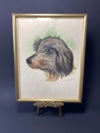 PIES PORTRET OBRAZ ORYGINALNA AKWARELA 1973r #82