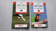 2 x ATLAS PTAKOW Czesc 1 /2 - Karetta (Pascal 2010) ... BDB
