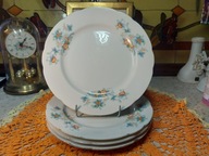 talerz obiadowy, płytki