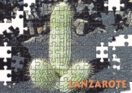 LANZAROTE - KAKTUS - WYSPY KANARYJSKIE