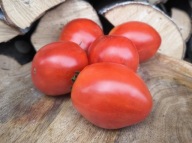 Pomidor Vasilyovych nasiona kolekcjonerskie