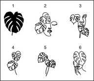 Naklejka na auto samochód KWIAT MONSTERA