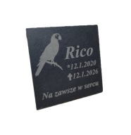 Personalizowany nagrobek dla papugi z łupku 10x10 cm pamiątka pomnik