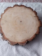 Plaster brzozy krążek drewna brzozowy 22-25 cm szlifowany 2-3cm świeży