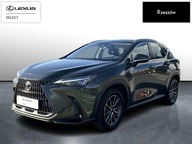 Lexus NX 350h Business AWD II (2021-) NX350 Busine