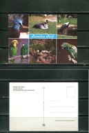 K16876)Hizpania: Gran Canaria, Maspalomas, Palmitos Park