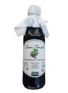 Syrop z czarnego bzu domowy 250 ml.