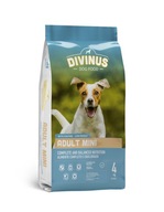 Divinus Adult mini dla ras małych 10kg