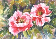 =KWIACIARNIA= Obraz =martwa natura=KWIATY=akwarela=