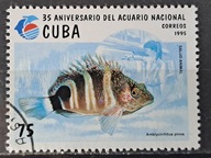 Ryby (kas) - luzak - do uzupełnień 13/6