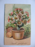 KWIATY W DONICZCE przedwojenna POCZTÓWKA