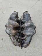 Kolektory wydechowe LAMBORGHINI GALLARDO LP-560 420251212Q 420251211Q